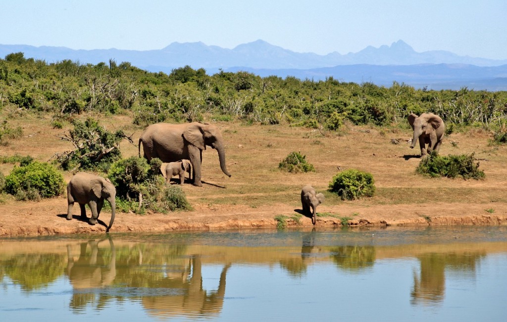 The 10 Most Exciting Safari Camps in Africa