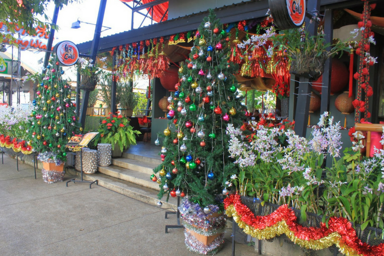 Green Christmas at Chiang Mai
