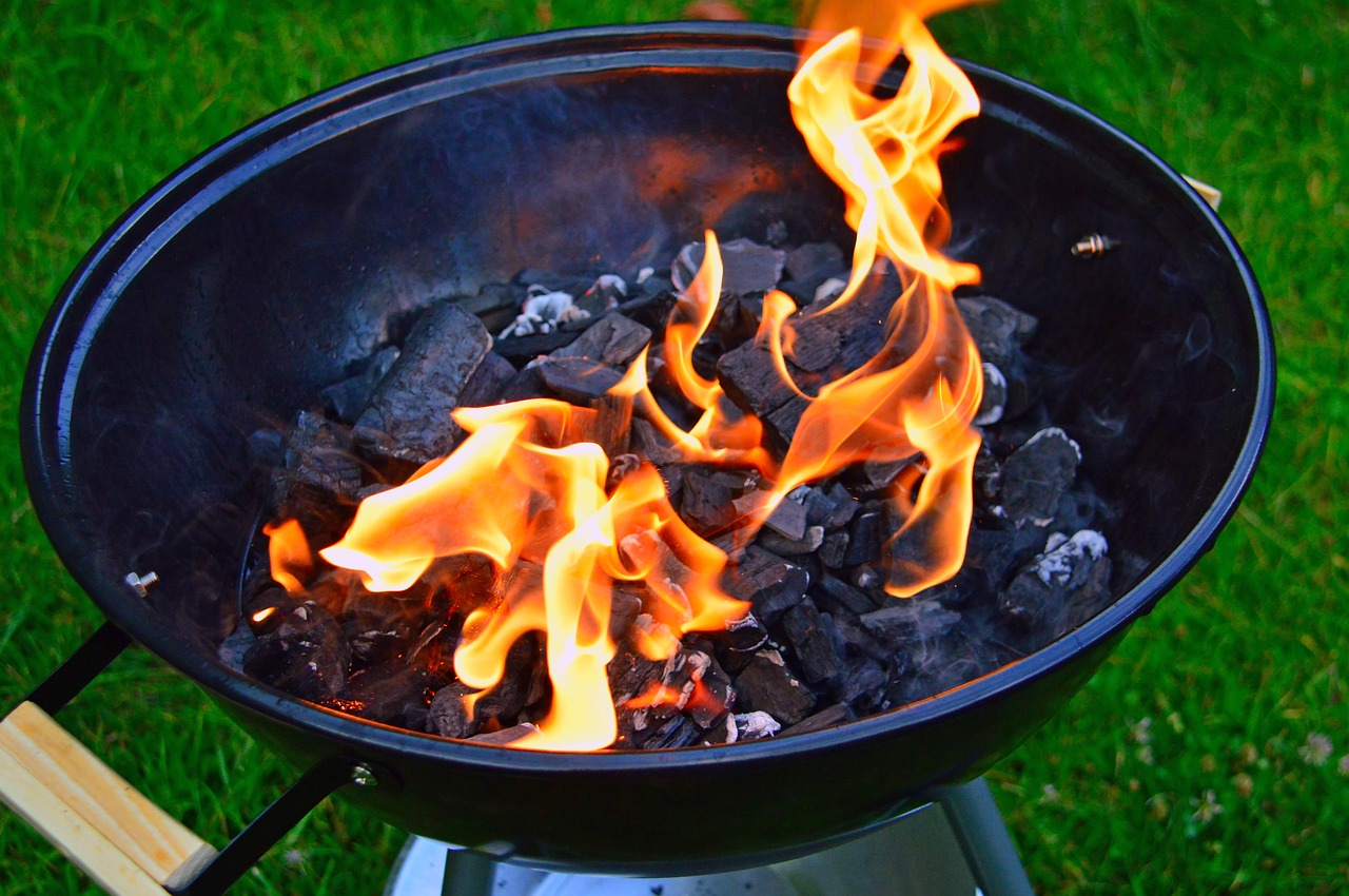 barbecue, BBQ, fire