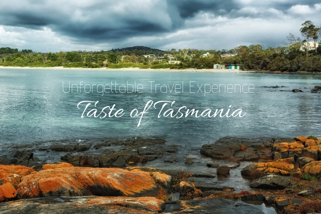 Unforgettable Travel Experience — A Taste of Tasmania